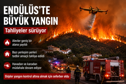 Endülüs’te büyük orman yangın